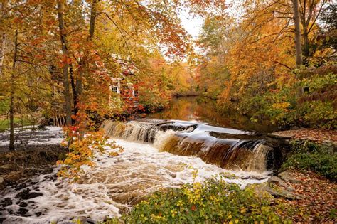 Connecticut Fall Foliage 2024 - Glyn Phoebe