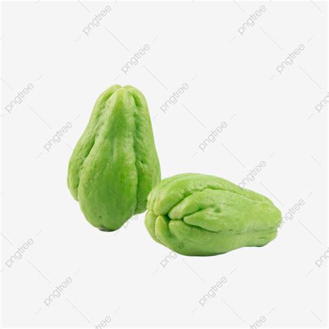 Chayote Nutrition Vitamin Green, Chayote, Photograph, Nutrition PNG Transparent Image and ...