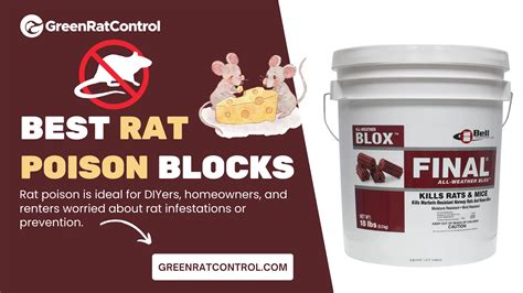 Best Rat poison Blocks in 2024 - GreenRatControl