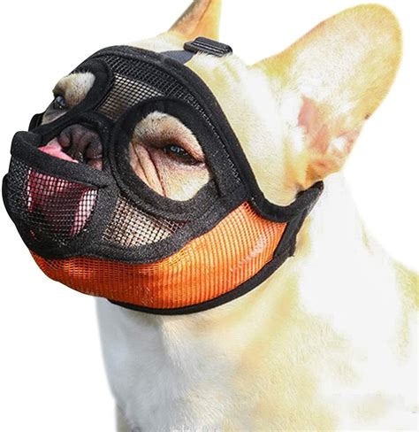 French Bulldog Muzzle - Frenchie World