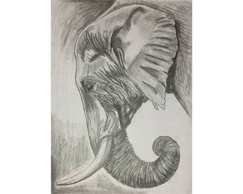 sri lanka elephant Drawing by Nipuna Nawshan | Saatchi Art