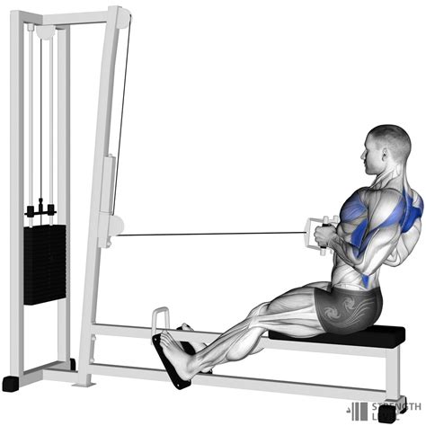 Seated Cable Row Standards for Men and Women (lb) - Strength Level