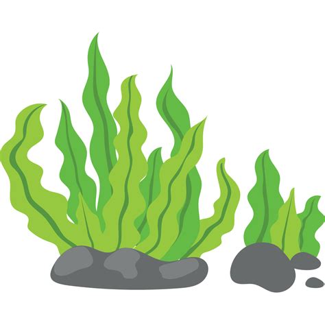 Seaweed Clip art - Green background png download - 1181*1181 - Free Transparent Seaweed png ...