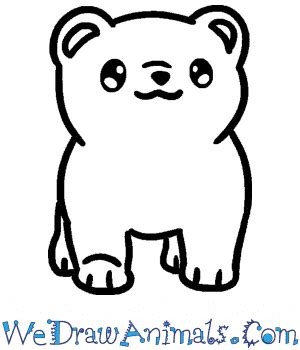 How to Draw a Baby Polar Bear