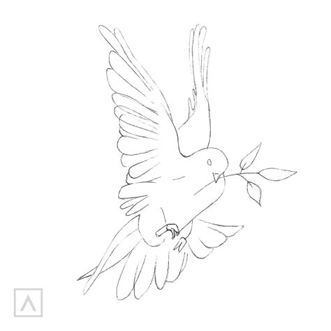 How to Draw a Dove – Arteza.com