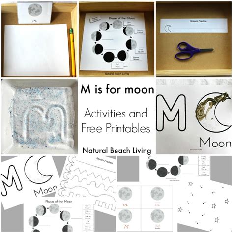 The Phases of the Moon FREE Printables and Learning Activities - Homeschool Giveaways