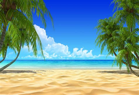 Summer Beach Blue Ocean Sky Backdrop HJ03738 – Dbackdrop