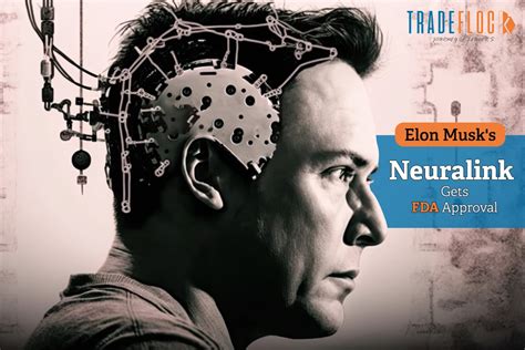 Government Approves Elon Musk's Neuralink Brain Chip