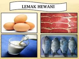 15 Contoh Makanan Sumber Lemak Nabati dan Lemak Hewani - Info dan Tips Kesehatan