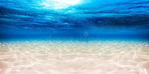 425,460 Underwater Ocean Stock Photos - Free & Royalty-Free Stock ...