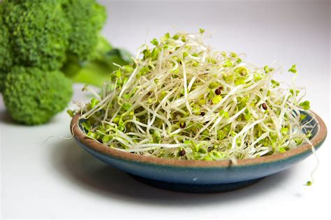 Recipe - Broccoli Sprouts - Inspero Medical Functional Medicine