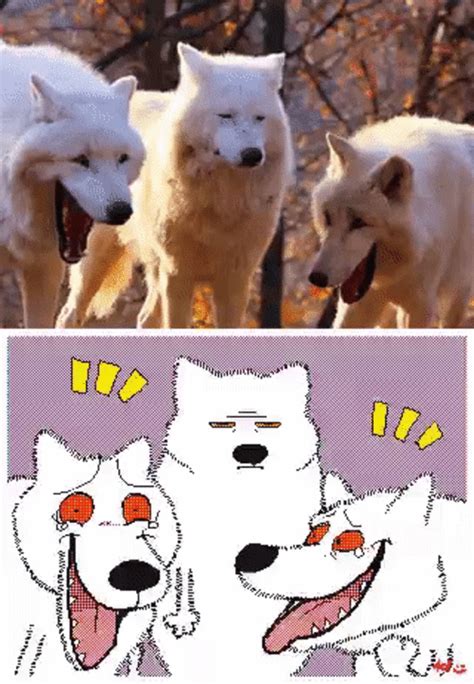 Laughing Wolves by Kekeflipnote | Laughing Wolves | Cute animal drawings, Cute funny animals ...