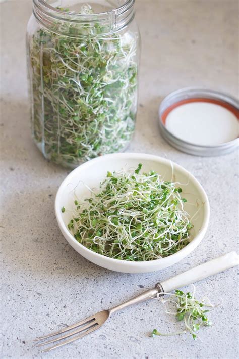 How To Grow Broccoli Sprouts, And Why You Should - Healing Family Eats