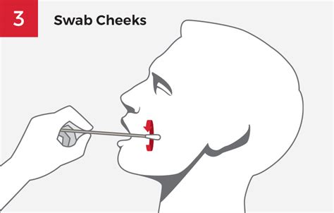 Buccal Swab DNA-Collection Instructions | DDC