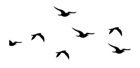 Bird Silhouette Clip art - Flock of flying geese png download - 1024*681 - Free Transparent Bird ...