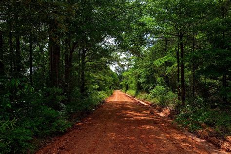 Alabama Dirt Road Red Clay - Free photo on Pixabay