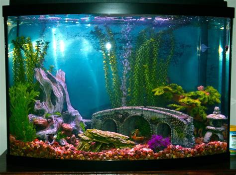 Decor for Fish Tanks Aquarium (With images) | Fish tank themes, Fish ...