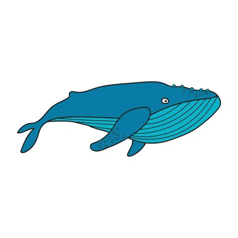 Kids drawing Cartoon cute blue whale Vector Illustration Isolated on White Background 25433112 ...