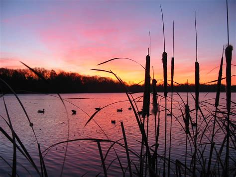 Duck Hunting Backgrounds - Wallpaper Cave