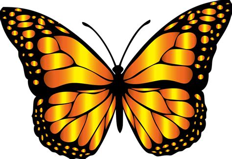 Monarch Butterfly Outline | Free download on ClipArtMag