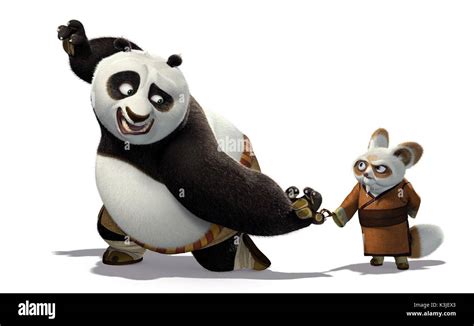 Shifu Kung Fu Panda