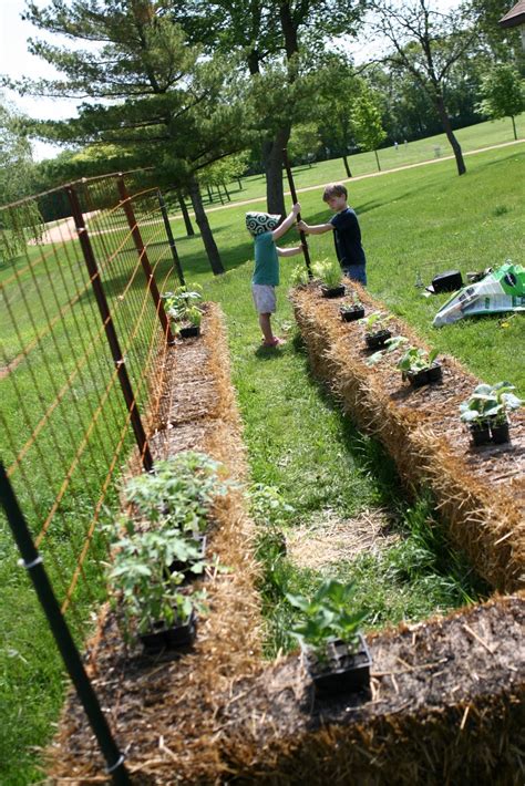 4 the Love of Family: How to plant a straw bale garden