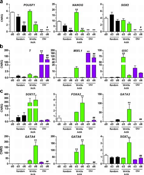 Gene expression profile of pluripotency, primitive streak, and endoderm ...