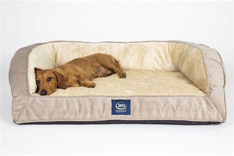 The 30 Best Large Dog Beds For Your Large Breed Dogs