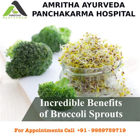 Incredible benefits of Broccoli Sprouts – Autism Ayurvedam