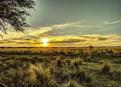 La Pampa, Argentine : 5 raisons d'y faire du tourisme