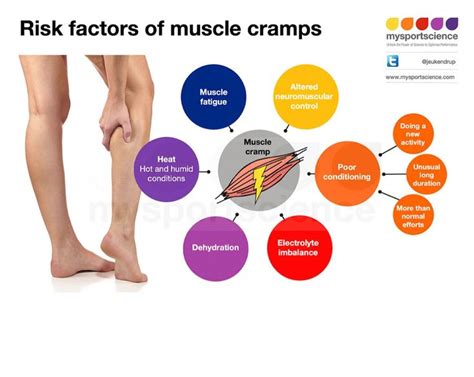 MUSCLE CRAMP in 2021 | Muscle cramp, Neuromuscular, Muscle fatigue