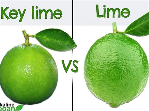 What is the Difference Between a Key Lime and a Lime? - Alkaline Vegan Lounge