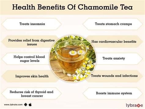 Benefits of Chamomile Tea And Its Side Effects | Lybrate