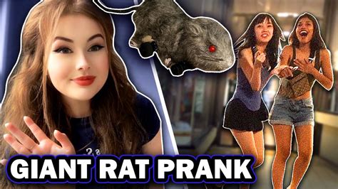 Giant Robot Rat Prank - YouTube