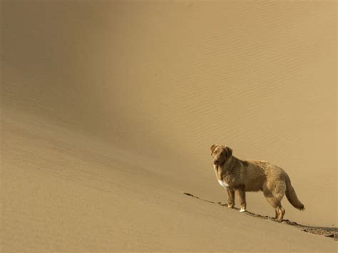 Kavir Desert (Dasht-e Kavir): Map, Facts, Location