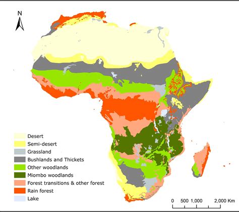 African Savanna Biome Map - Pets Lovers