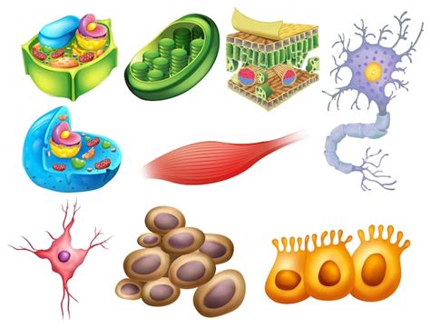 Micromolecular Vectors & Illustrations for Free Download | Freepik