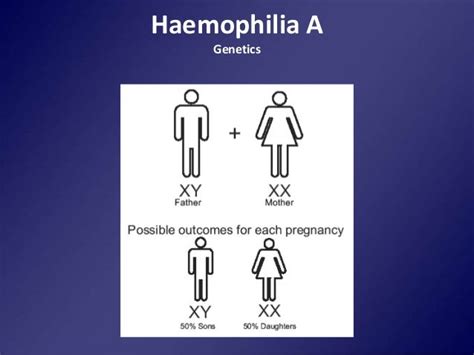 Genetics of hemophilia A