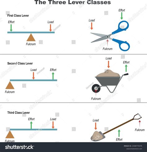 Three Types Of Lever