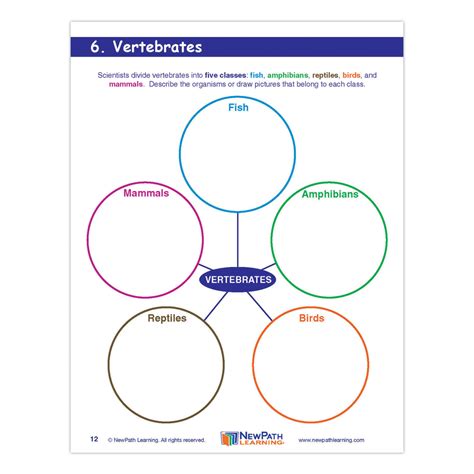 Grade 4 Science Graphic Organizer - Science Supplies, Resources & Books ...