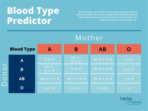 Blood Type And Compatibility Chart Poster | ubicaciondepersonas.cdmx.gob.mx