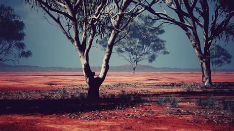 African savanna landscape with acacia trees 7550789 Stock Video at Vecteezy