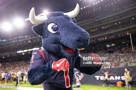 6,603 Texans Mascot Stock Photos, High-Res Pictures, and Images - Getty Images