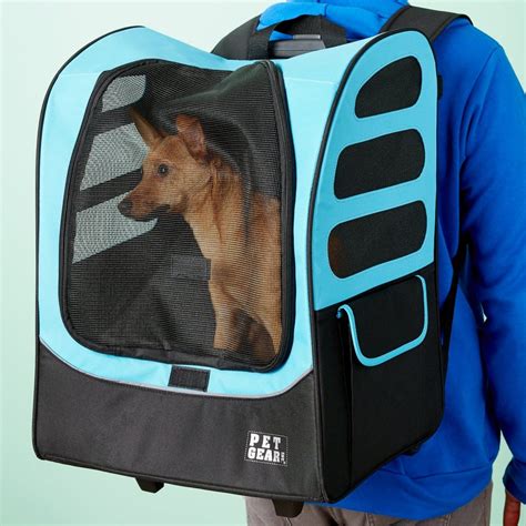 Best Dog Carrier Hiking Backpacks - Ruby Cavalier King Charles Spaniel