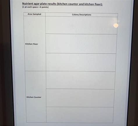 (Solved) - Nutrient Agar Plate Results (Kitchen Counter And Kitchen ...
