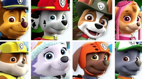 Pictures And Names Of All The Paw Patrol Characters - Infoupdate.org