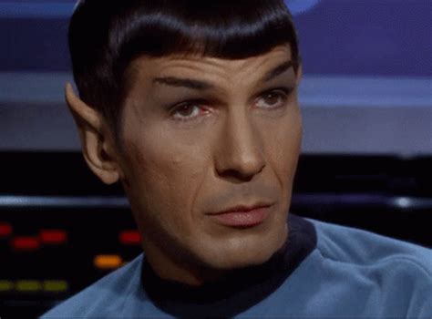 Spock Eyebrows GIF - Spock Eyebrows - Discover & Share GIFs