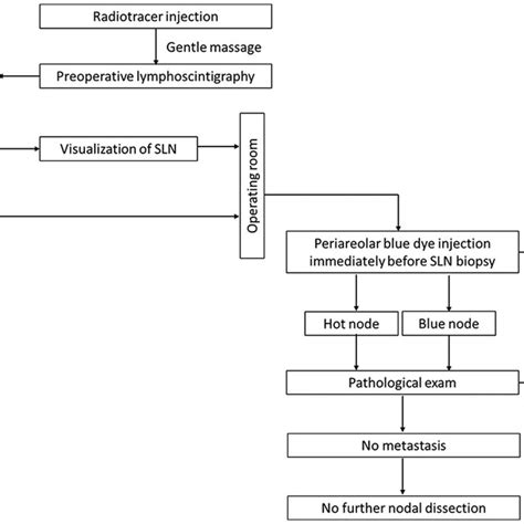 Flowchart showing the sentinel lymph node biopsy procedure in our study | Download Scientific ...