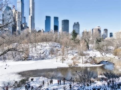 New York Snow: A Magical Guide to Winter Wonderland