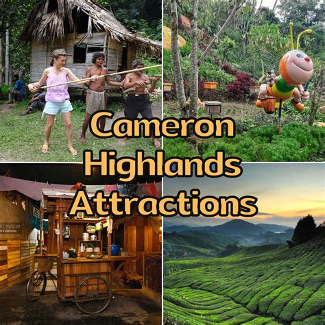 Top 6 Cameron Highlands Attractions To Explore The Nature